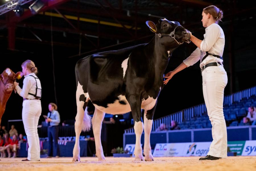 Tessa Bons werd nummer twee bij de junioren showmanshipcompetitie