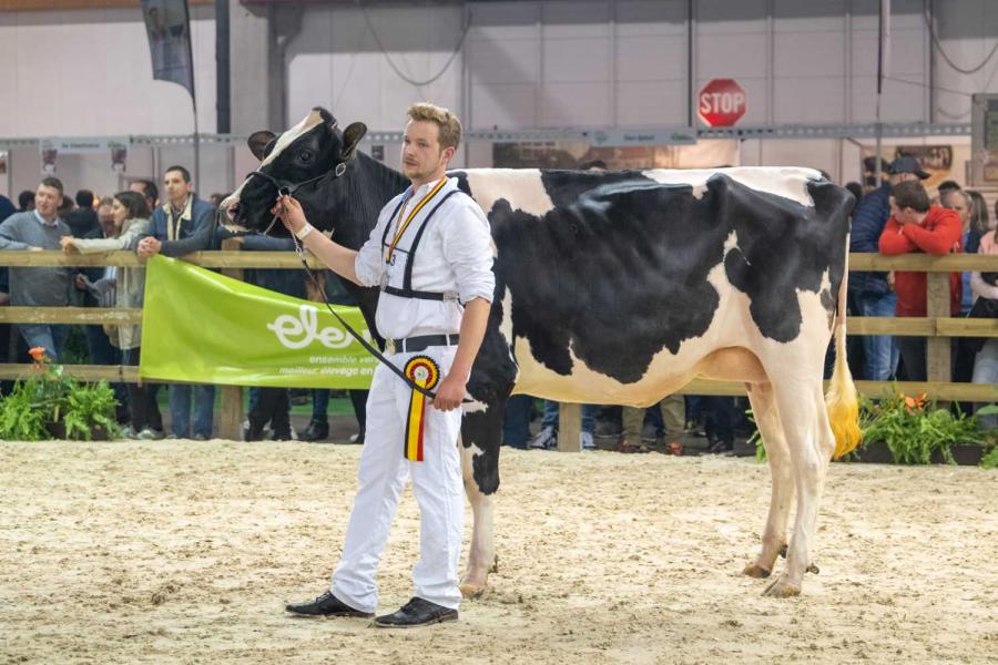 Lampritsie (v. Lambda) kreeg de eervolle vermelding bij de vaarzen op Agribex