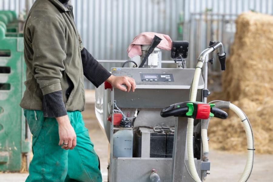 De uitbreiding vraagt om flinke aanwas. Alle vaarskalveren blijven aan en worden op het bedrijf opgefokt