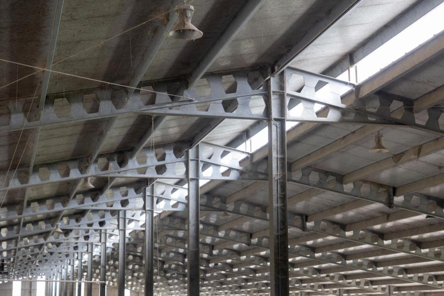 Er hangt er in de hele stal maar één ventilator. Die is vooral bedoeld om vliegen uit de melkput te houden