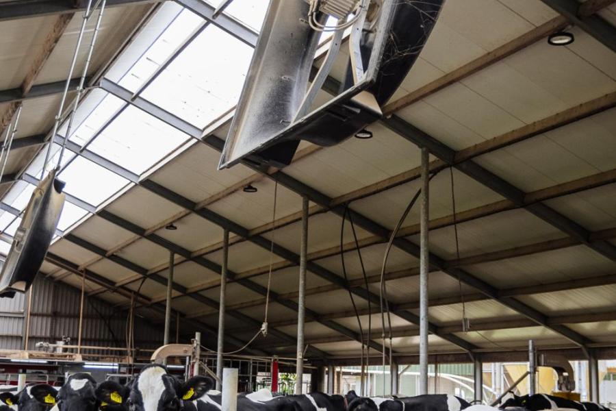 Een week voor de opstart hing Groeneveld deze ventilatoren nog op om zo het stalklimaat beter te reguleren