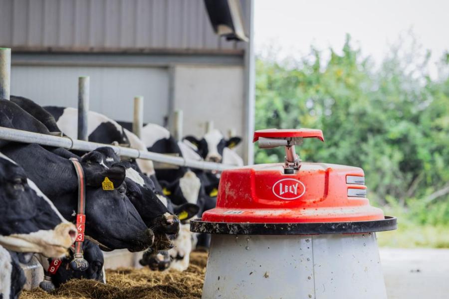 De voergang is gecoat en een automatische voerschuif waarborgt een permanent aanwezige hoeveelheid vers voer aan het voerhek