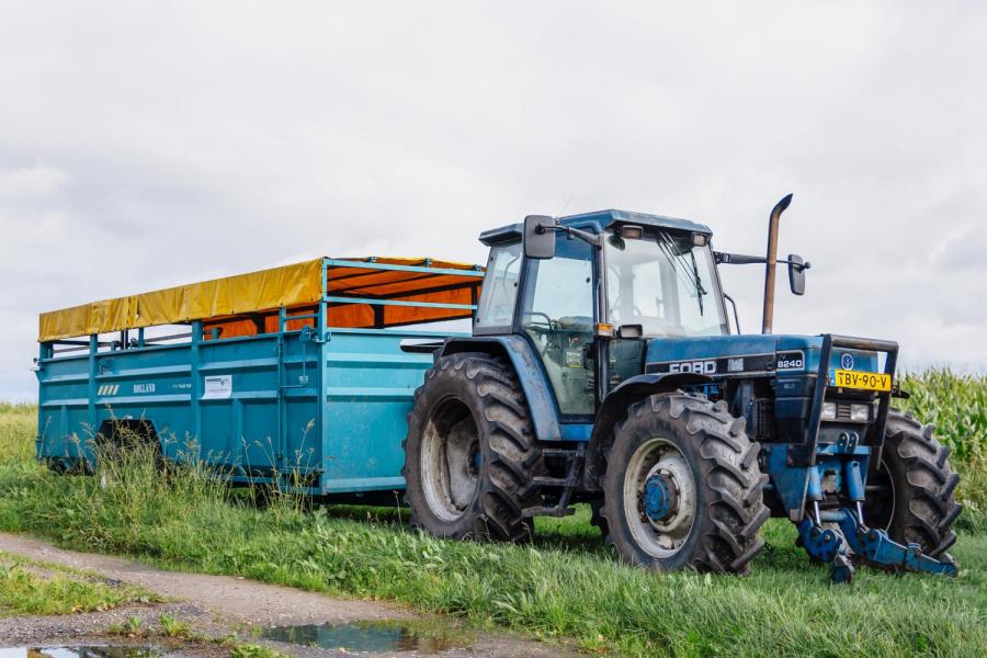 Ook het vee gaat over en weer. Met de veewagen vervoert Dams op vrijdag dieren van de ene naar de andere locatie