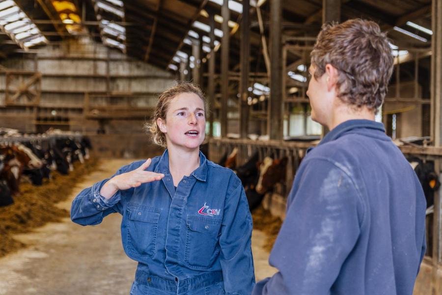 CRV verzorgt onder ander de merkertesten op het bedrijf van Dams