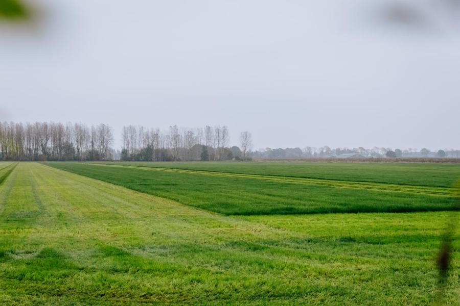 Het bouwplan van de maatschap Loonen bestaat uit circa 110 hectare mais en 110 hectare gras. Ongeveer 60 hectare huiskavel kan vochtig worden gehouden met een systeem van sub irrigatie.