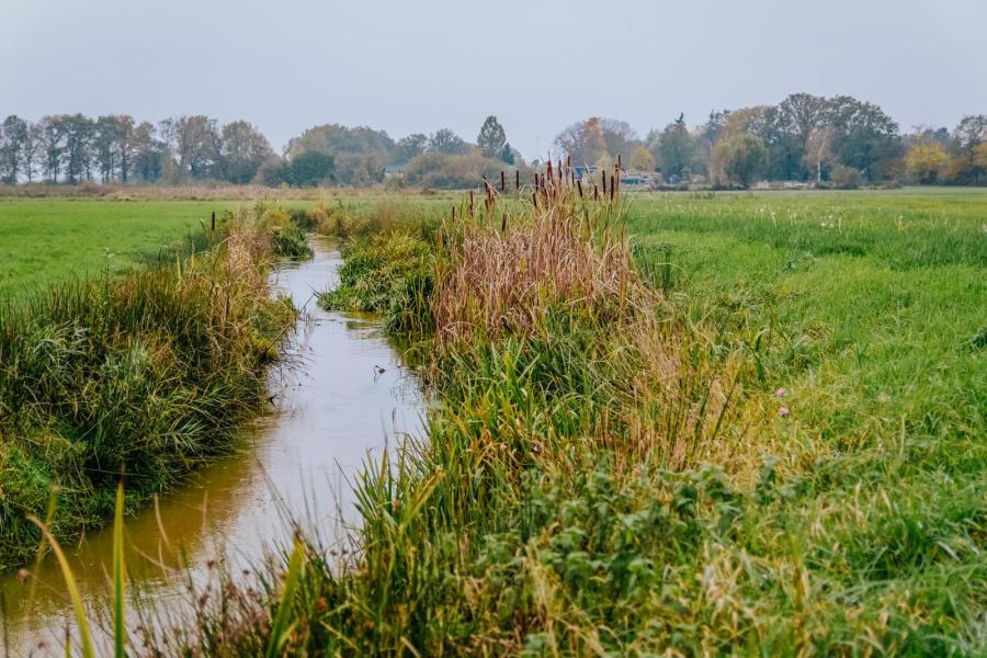 De veehouders hebben 30 hectare land omgezet in natuur. Deze grond ligt langs de meanderende Loobeek