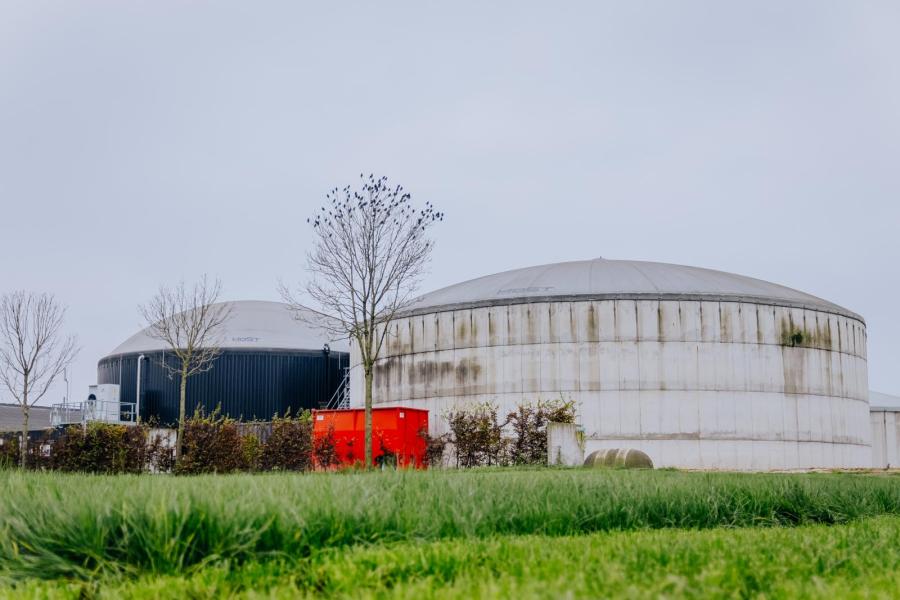 De broers Loonen investeerden zes jaar geleden al in mono mestvergisting en leveren groen gas op het aardgasnet. Hiervoor ontvangen ze SDE-subsidie en een vergoeding van FrieslandCampina