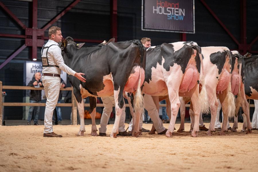 Arie Wouter en Niels de Groot uit Everdingen wonnen met Tineke 805 (v. Cheers) de reservetitel bij de vaarzen