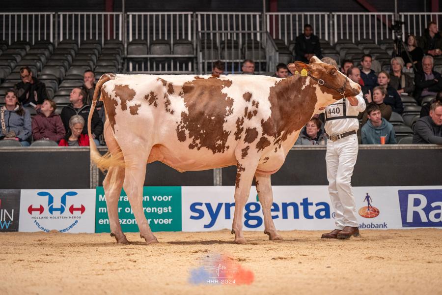 De Tienmorgen Holsteins uit Beers pakte de eervolle vermelding bij de vaarzen met Tienmorgen Liza 436 (v. Rompen)