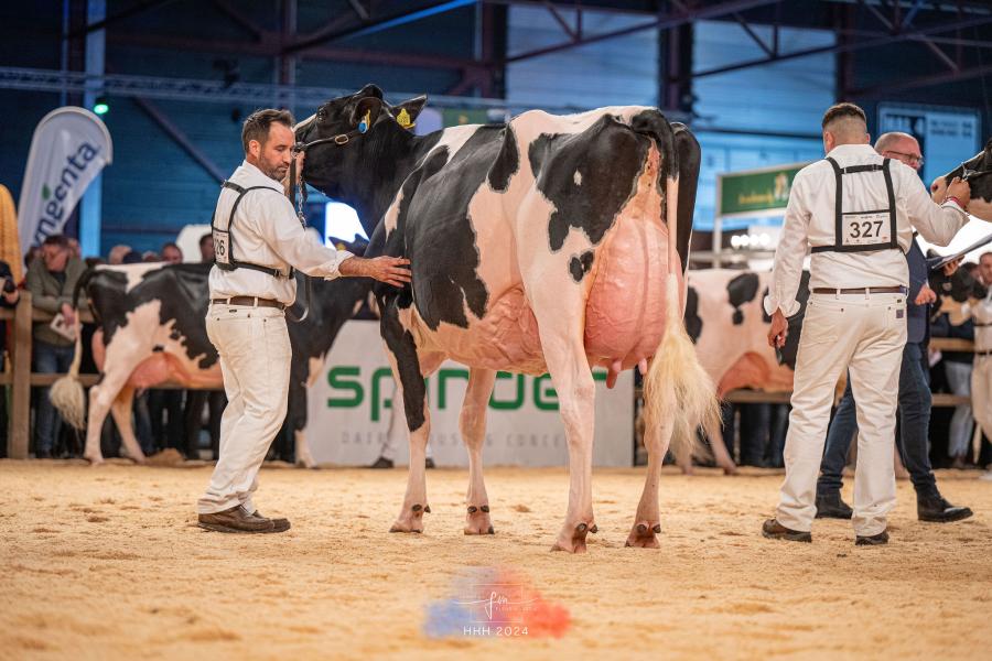 Bons-Holsteins Ella 254 (v. Solomon) van Bons-Holsteins pakte de eervolle vermelding in de middenklasse