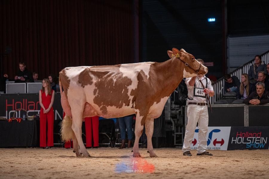 Ook in de middenklasse was het raak voor de familie Pinkert met kampioene P.M. Rosy 5 (v. Unstopabull)