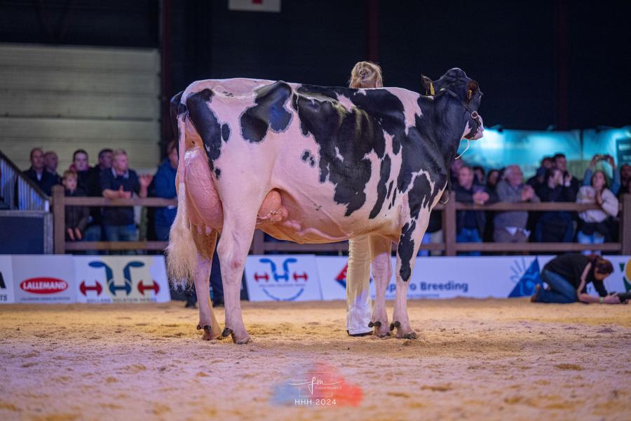 Vorig jaar pakte ze de reservetitel in de middenklasse, nu kwam Bertha 211 (v. Chief) van Arie Wouter en Niels de Groot uit Everdingen een treetje hoger op het podium