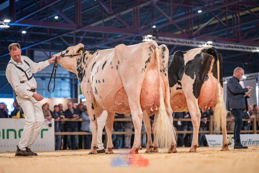 Bons-Holsteins Koba 253 (v. Solomon) won de reservetitel bij de oudere koeien