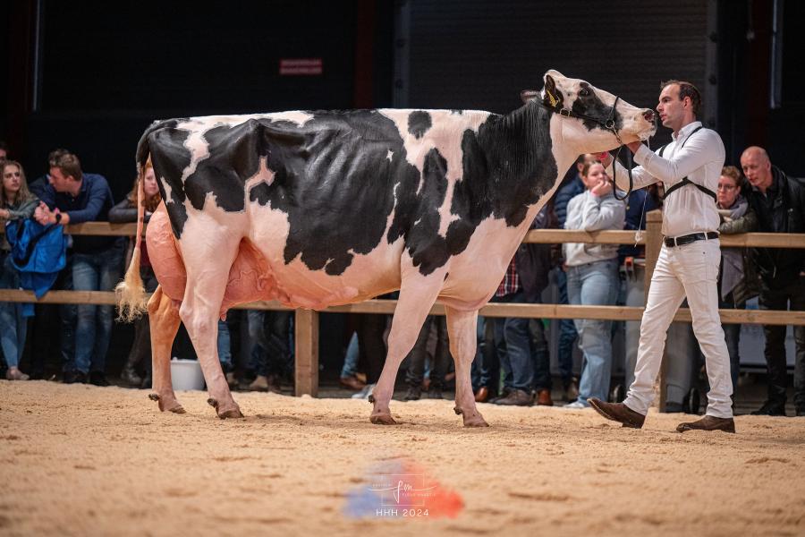 De winnares van de productieklasse Southland Dem Dellia 92 (v. Dempsey) van Southland Holsteins uit Teteringen kwam de eervolle vermelding toe