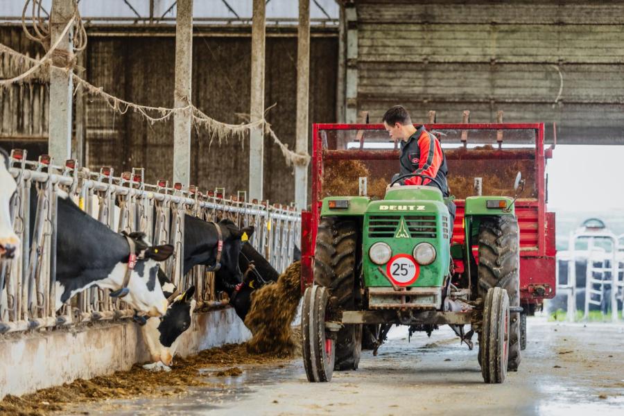 Voeren met blokkenwagen