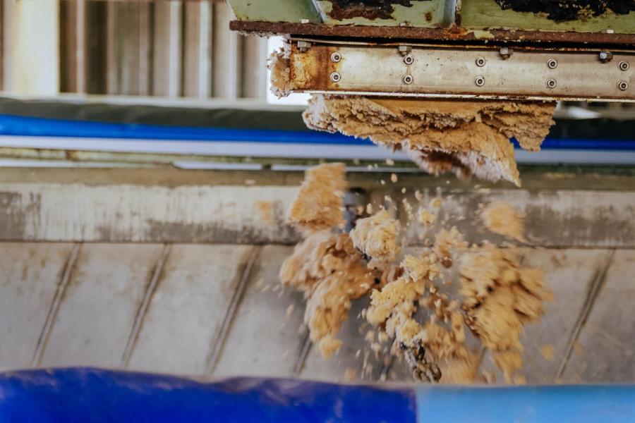 De aardappelpersvezels worden gelost in vrachtwagens van onder meer Bonda, dat als een van de distributeurs de verkoop van aardappelpersvezels als veevoeder regelt
