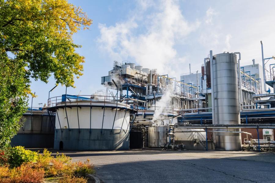 De weg van aardappelpersvezel start bij het verwerken van de aardappelen in een van de fabrieken van Avebe. Van ruim 2000 leden wordt in Nederland meer dan 2,5 miljoen ton aardappelen verwerkt. De campagne start in augustus.
