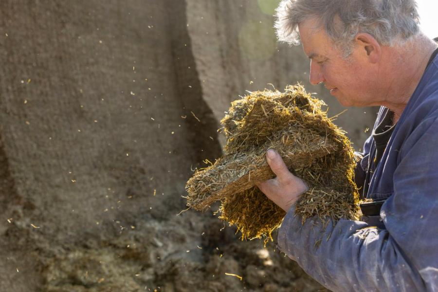 Alleen de eerste drie snedes gras worden ingekuild. Aan alle kuilen wordt standaard een bacteriemengsel toegevoegd voor een goede conservering. Het streven naar een drogestofpercentage van ongeveer 45 procent draagt bij aan een gunstige dve-oeb-verhouding.