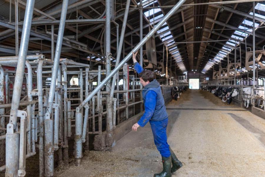Sinds de komst van de robot is er gestart met weidegang. De robots zijn zo geplaatst dat weidegang mogelijk is. Eenvoudig is weiden niet, maar het gaat elk jaar beter. Na 120 dagen gaan de staldeuren vaak al dicht en wordt er gestart met stalvoeren.