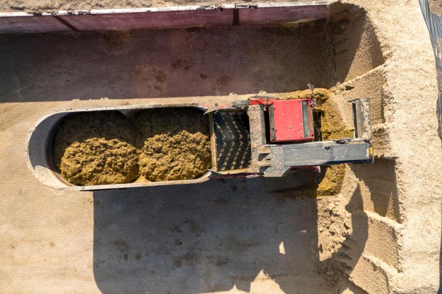 Op jaarbasis is er voor de veestapel ongeveer 100 hectare mais nodig.