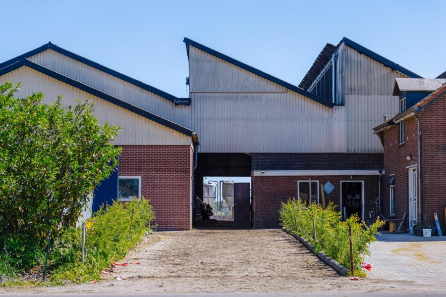 De melkveestal is meerdere keren in de breedte uitgebouwd. Om een extreem hoge nok te voorkomen is gekozen voor een dak met een zaagtandconstructie