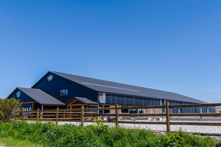 Een nieuwe stap in de bedrijfsontwikkeling is het opzetten van een uniek systeem om alle ‘uitstootkalveren’ op te fokken voor de vleesproductie. Hiervoor is een stal in aanbouw