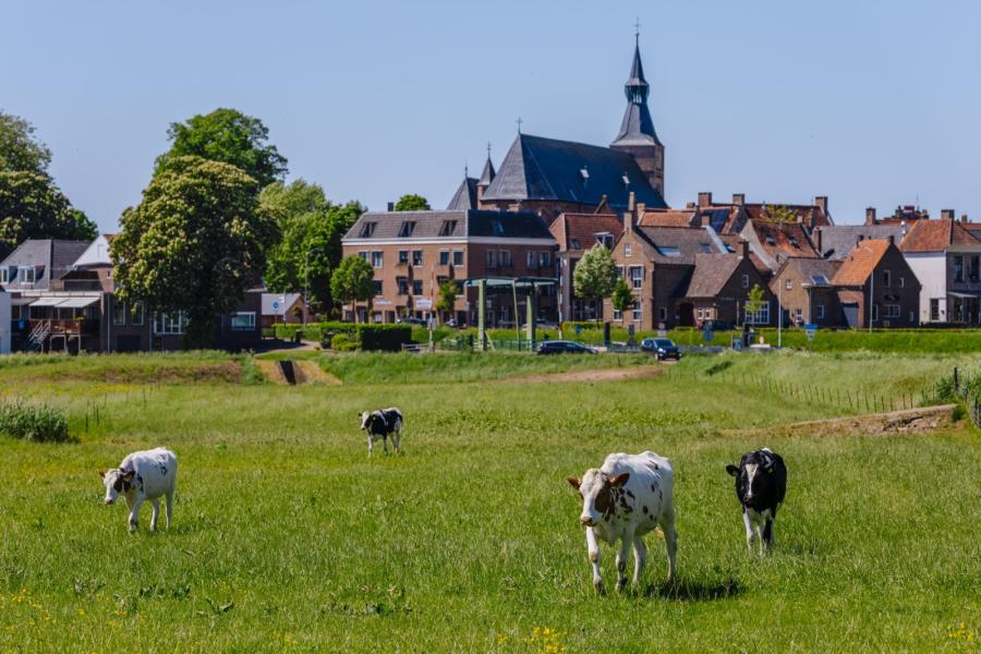 Hattem