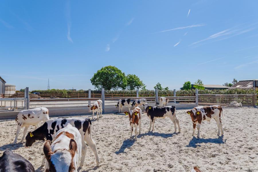 Van Emst heeft de buitenuitloop het 'kalverstrand aan de IJssel' genoemd