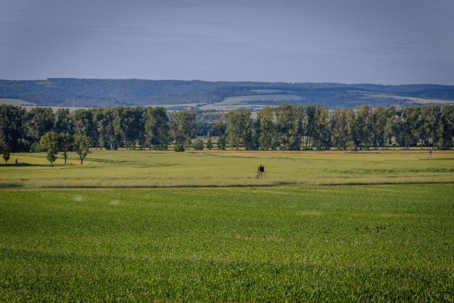 Het bouwplan omvat 140 hectare productief grasland, 110 hectare snijmais, 40 hectare mais voor CCM, 110 hectare voergerst en 50 hectare extensief grasland