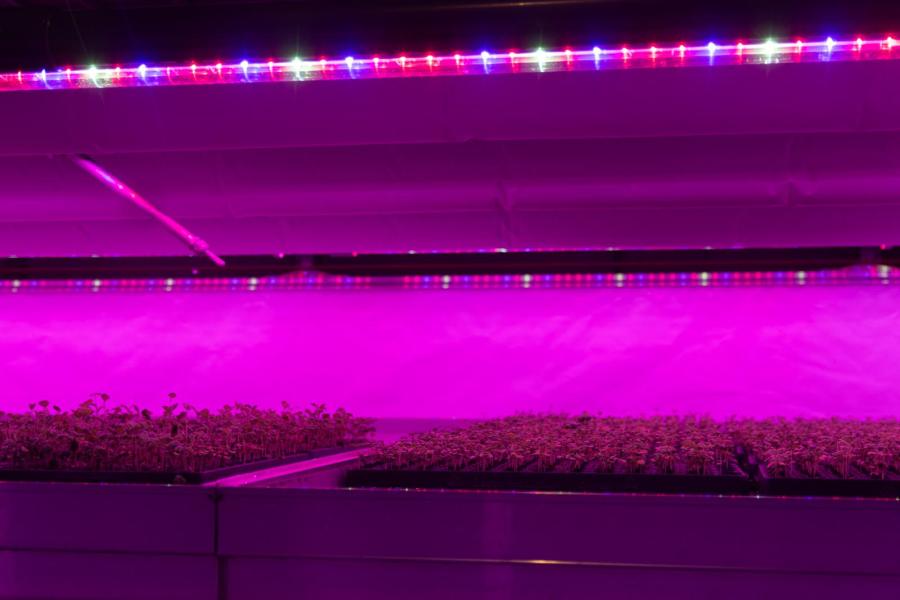 In de laag onder het water is de werkplaats van de boeren en groeien onder andere kruiden voor de kaas in een zogenaamde vertical farm