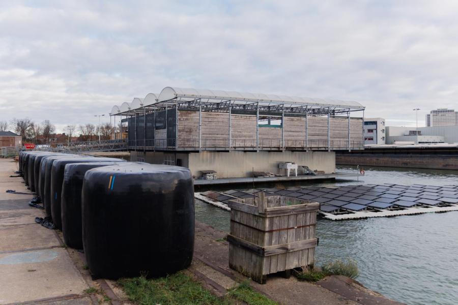 Voor het voer worden reststromen uit de haven gebruikt: brood van de bakkerij, bierbostel van de brouwerij, groente- en fruitresten van de veiling en de voedselbank. Op de kade ligt lokaal verbouwd hooi en staat een silo met krachtvoer