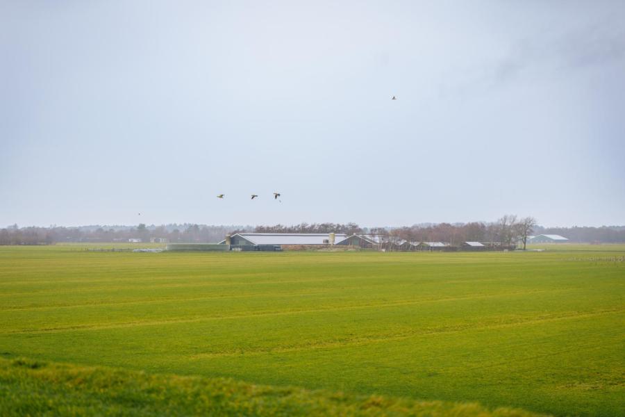 Met 40 hectare land en geen ruilhandel op het eiland bracht het boeren op het eiland grenzen met zich mee
