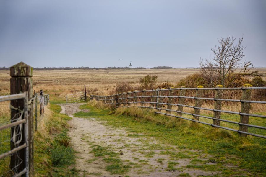 Ook op andere manieren trekken de boeren samen op. Ze deden mee aan een groot stikstofproject, beheren het weidevogelgebied en laten drachtig jongvee grazen in het kweldergebied