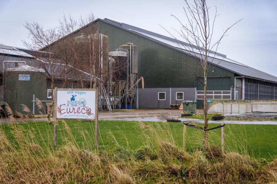 In 2021 bouwden ze daarom een nieuwe stal in het Friese Morra, waar sindsdien alle melkkoeien staan