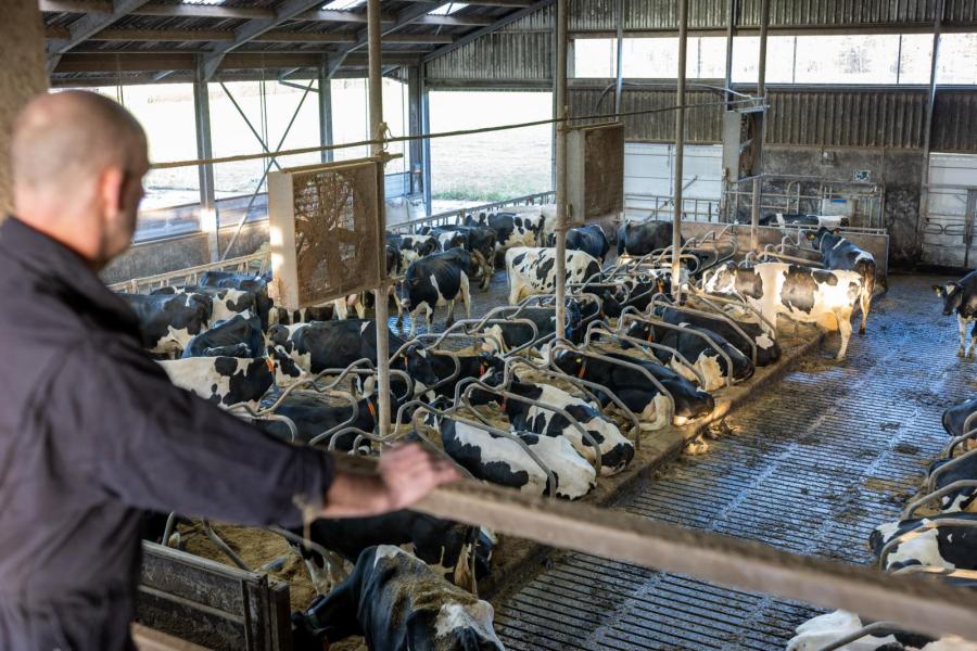 De familie Diepman denkt veel na over de overdraagbaarheid van het bedrijf
