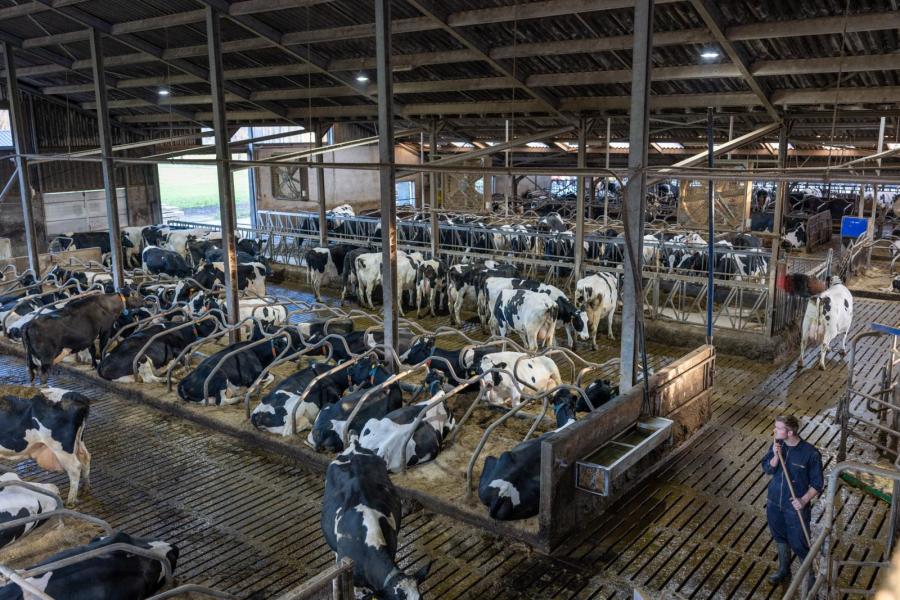 Roy (rechtsonderin) werkt nog mee op het bedrijf, maar gaat op termijn verder op het bedrijf van zijn schoonouders (melkveebedrijf Poppe Herfte in Zwolle). Dion zit ook in de maatschap, maar werkt daarnaast buitenshuis.
