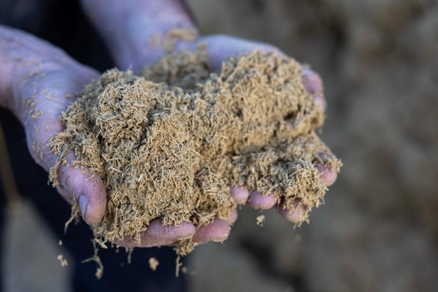 Met de ambitie om uiergezondheid te verbeteren, is Diepman overgegaan op vlaskalk in de diepstrooiselboxen in plaats van gescheiden mest. De hoop is dat het aantal nieuwe celgetalattenties hierdoor lager wordt