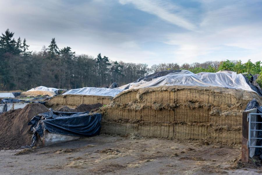 Inmiddels zijn de graskuilen van dit jaar aangebroken. De familie probeert drie snedes te oogsten voor de langste dag van het jaar. Er wordt veel aandacht besteed aan het aanrijden van het gras, zodat de kuil het beste wordt geconserveerd. 