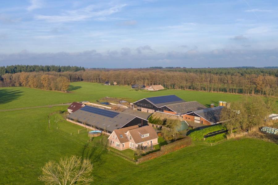 Het bedrijf in Dalfsen werd door Luc en Saskia buiten de familie overgenomen. Na vijftien jaar samenwerking in maatschap werd het bedrijf in 2011 officieel door de familie Diepman overgenomen.