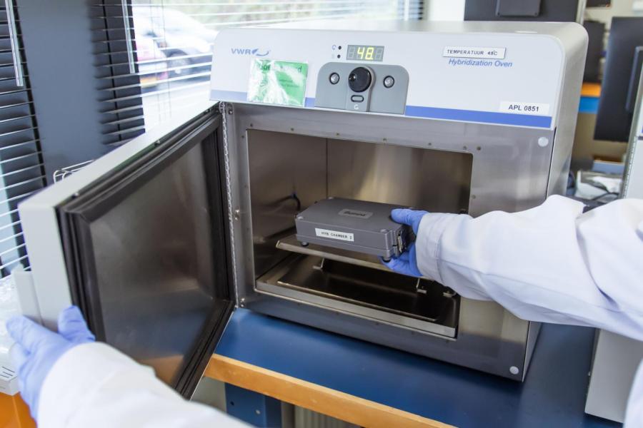 De microarray gaat hierna in een stoof. Hier plakt het DNA zich aan de merkers op de array vast