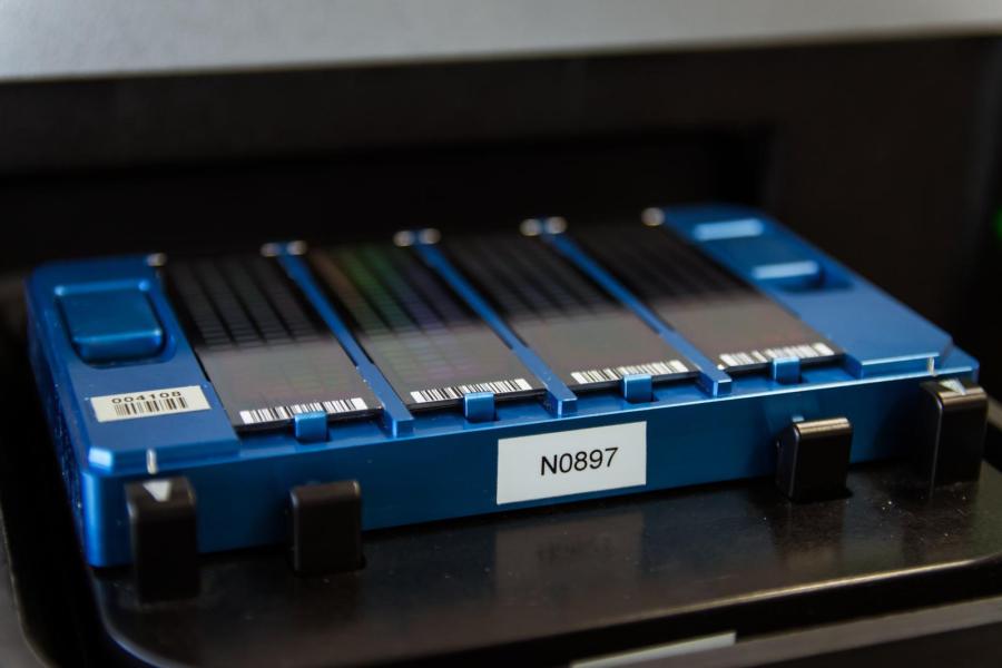 Met een microarray-scanner brengt de laborant 70.000 DNA-merkers in beeld. Iedere merker is een gen dat is gekoppeld aan een bepaalde erfelijke eigenschap