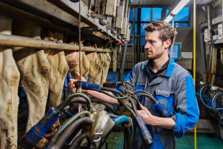 Daan kon een gebruikte melkstal overnemen. De 2x16 rapid-exit-melkstal was vijf jaar oud en die aanschaf scheelde flink in de begroting. 