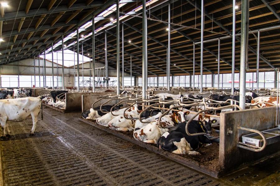 De roostervloer bevat een rubberen afsluiting om aan de vergunning te voldoen. Het verkrijgen van die vergunning was een hele uitdaging