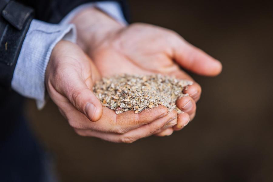 Het krachtvoermengsel bevat rogge, haver, erwten, lijnzaad, lupinen en soms veldbonen of bietenpulp. De granen zijn geplet in plaats van vermalen of geperst