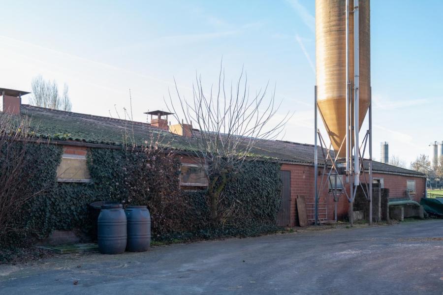 De varkenstak is uitgegroeid tot een gesloten bedrijf met 170 zeugen. Een deel van de stallen is inmiddels wel verouderd
