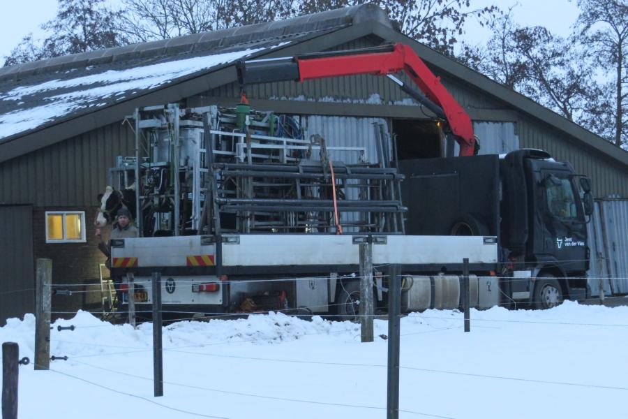 Ook het verzorgen van de klauwen gaat gewoon door in de sneeuw (foto: Gerrit Vervloedt)