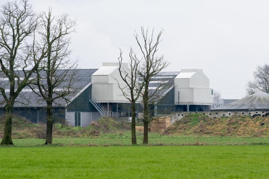 van den Hout
