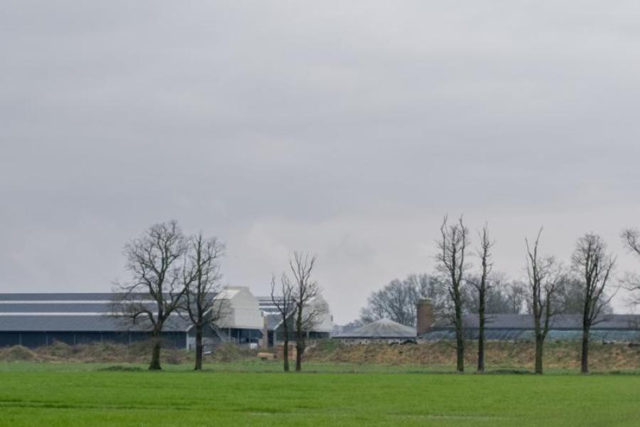 van den Hout