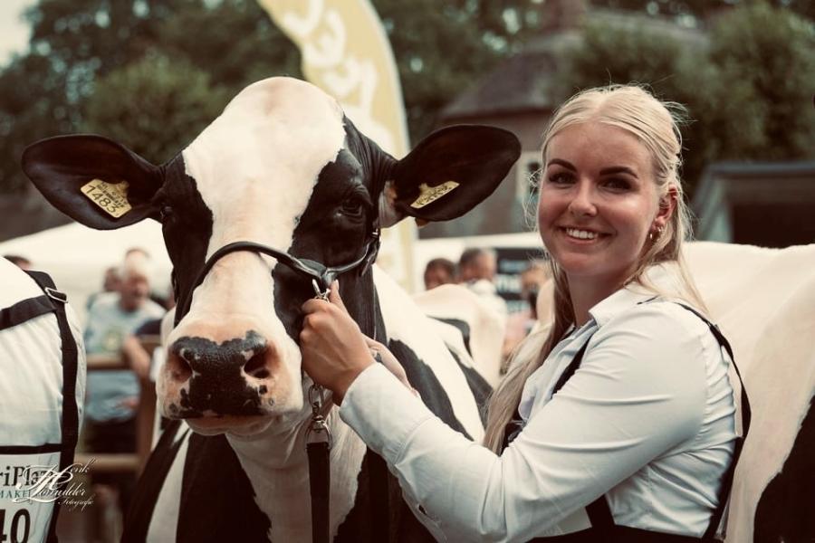 De Wieke Undenied Eve heeft een speciaal plekje in het hart van Danique Koster en haar opa. Het is de enige koe die nog bij haar opa staat. De koe is ingeschreven met 91 punten, fokt goed, wordt nog twee keer daags gemolken en gaat mee naar shows