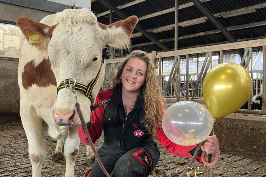 Wietske 273 is een speciale koe voor Marije Steenbergen. Wietske’s moeder was de eerste koe die Marije ooit insemineerde na het behalen van de inseminatiecursus. Uitgerekend werd het kalfje van die koe – een vaarsje – op Marijes verjaardag geboren